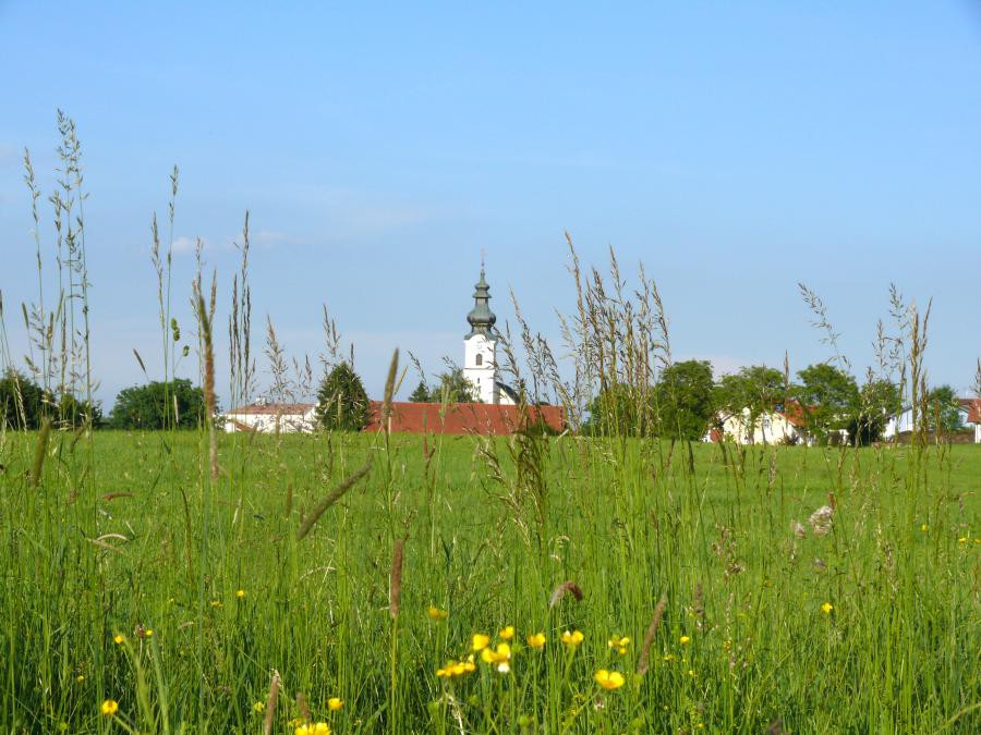 neukirchen landscahft.jpg