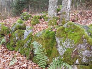 VIA NOVA Europ&auml;ischer Pilgerweg  - Etappe B&ouml;hmerwald im Herbst 3.jpg
